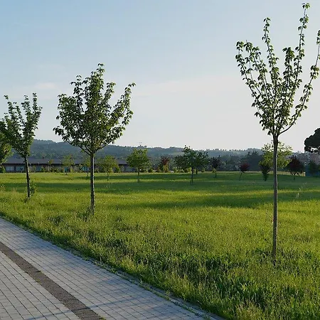 Alkimia San Lazzaro di Savena